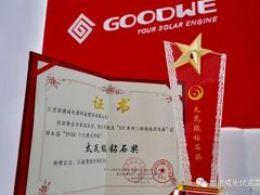 固德威儲(chǔ)能逆變器斬獲太瓦級(jí)鉆石獎(jiǎng)，2019SNEC完美收官！