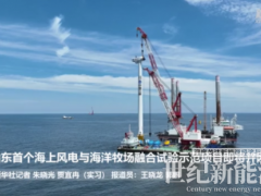 山東首個海上風電與海洋牧場融合試驗項目全部風機吊裝完成 即將并網！