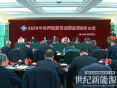 開局即決戰(zhàn),起步即沖刺!林洋能源錨定2026經營目標,凝聚全球化高質量發(fā)展強勁合力!