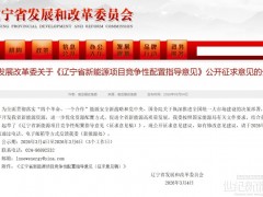 遼寧風光項目競配意見:中選企業(yè)未達承諾將取消其“十五五”參選資格,對其項目實施限選、限核、限備
